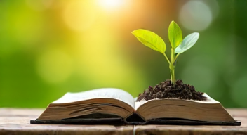 Perspektiven zu Altersvorsorge und Sicherheit